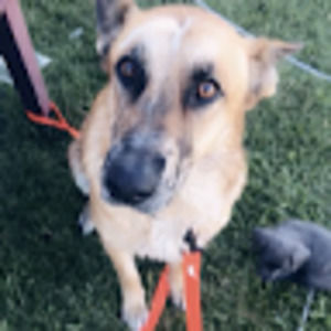 Meet your Posher, Valeria